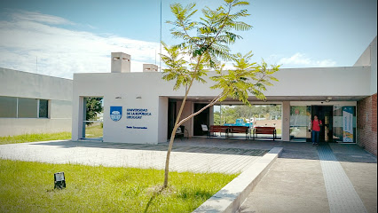 Universidad de la República, Sede Tacuarembó