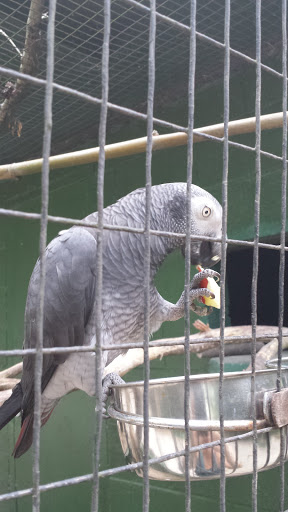 Zoo «Kentucky Down Under Adventure Zoo», reviews and photos, 3700 L and N Turnpike Rd, Horse Cave, KY 42749, USA