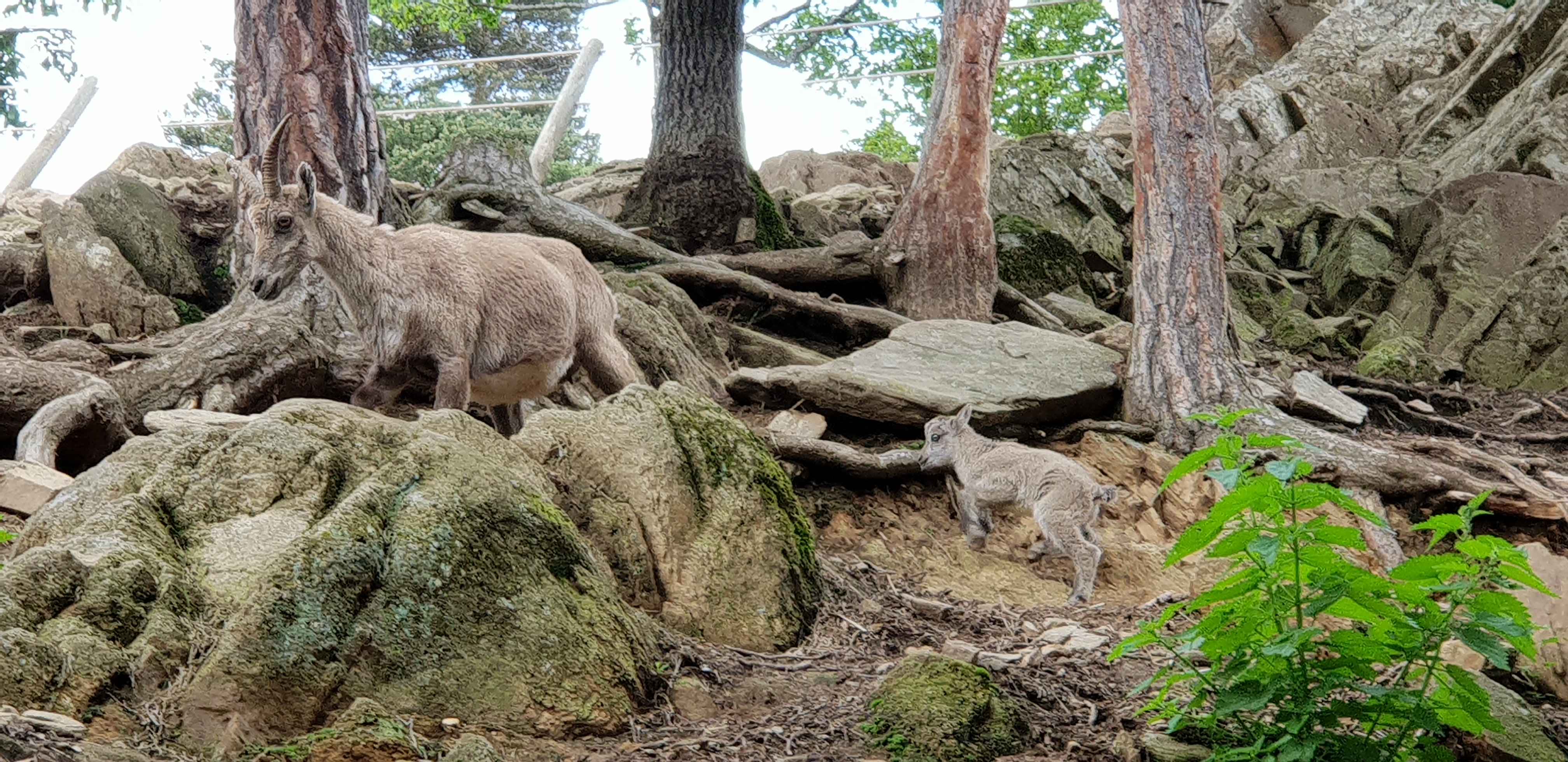 Photo n° 17 de l'avis de Lady.a fait le 24/05/2018 à 16:49