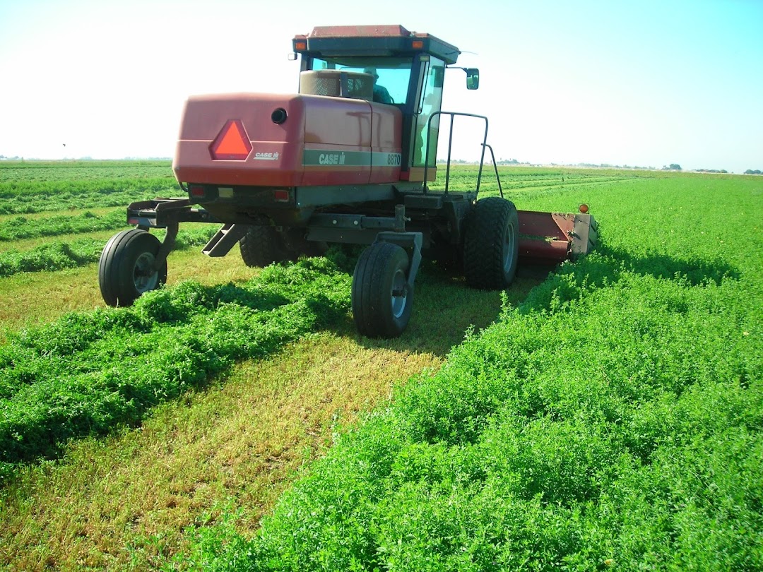 Imperial Valley Seeds