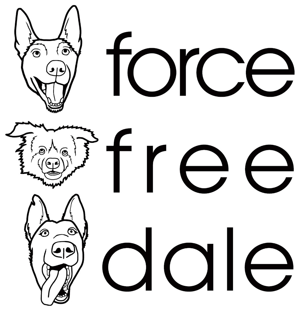 Force Free Dale Dog Training