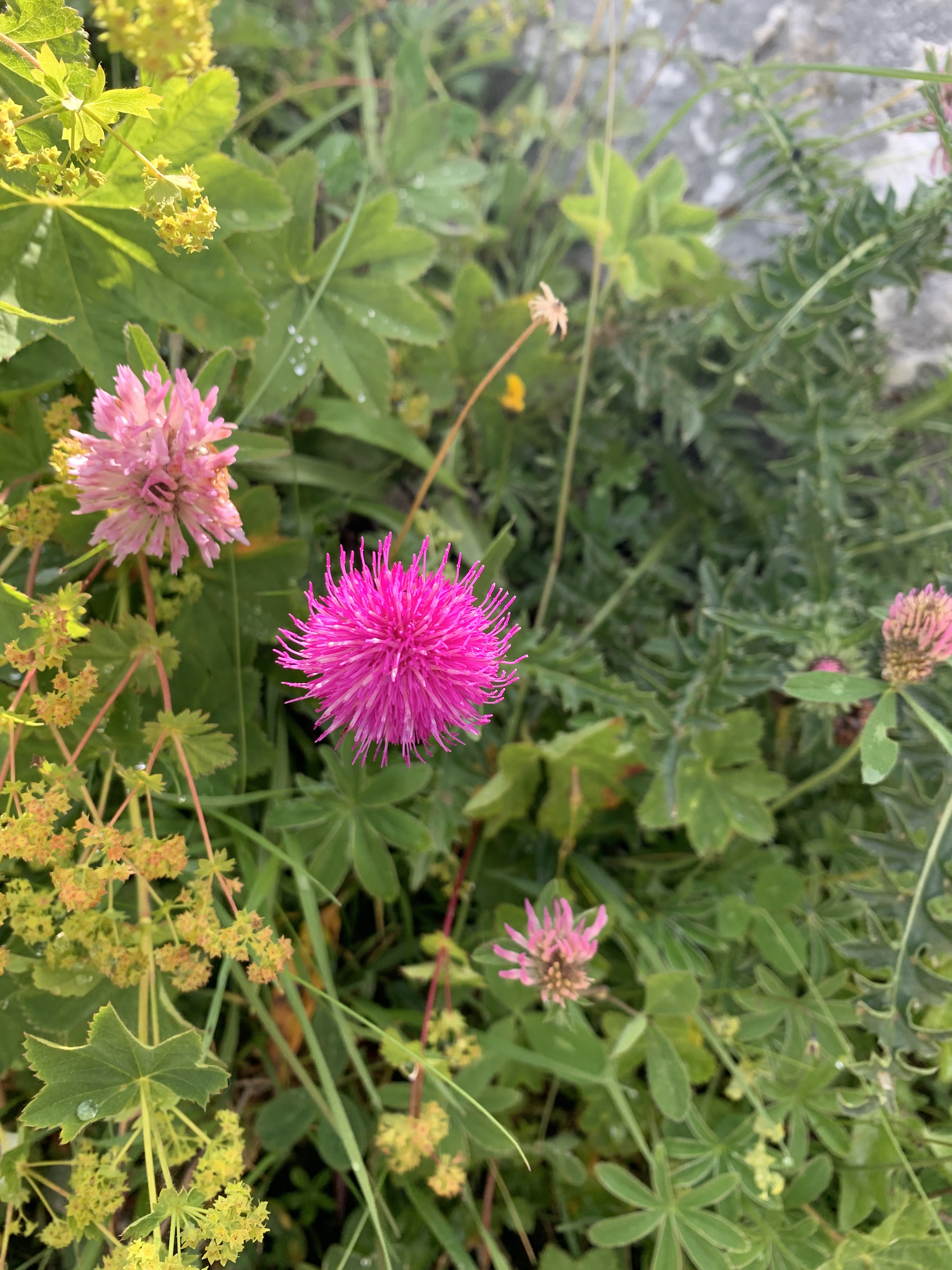 Photo n° 27 de l'avis de Valérie. fait le 29/08/2021 à 07:16