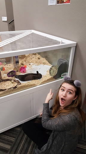 Pet Store «Paws Natural Pet Emporium», reviews and photos, 8551 W Gage Blvd, Kennewick, WA 99336, USA