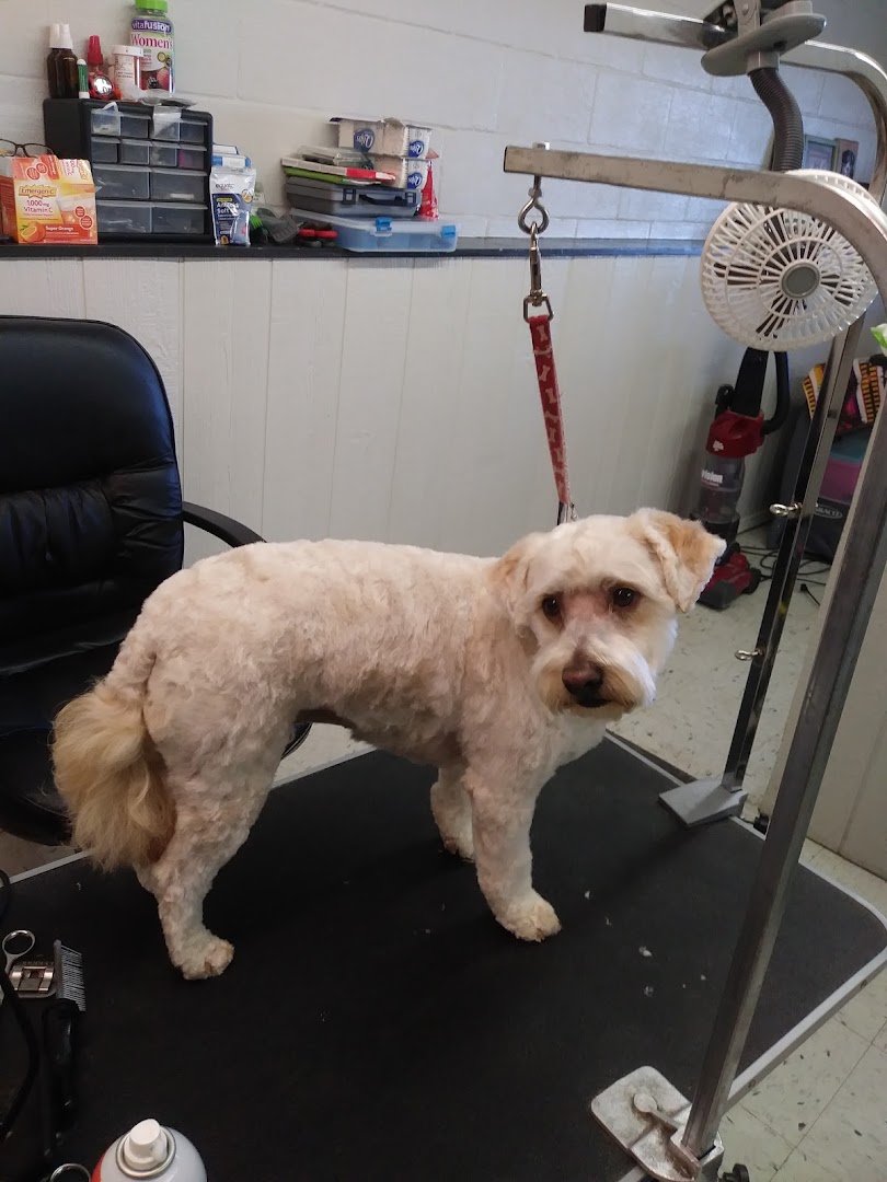 Dylin's VIP Pet Salon