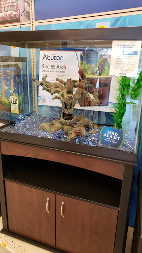 Shopping Mall «Gilroy Crossing Shopping Center», reviews and photos, 6915 Camino Arroyo, San Jose, CA 95112, USA