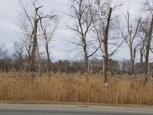 Car Repair and Maintenance «Midas», reviews and photos, 920 Route 46 East, Kenvil, NJ 07847, USA