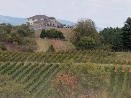 Winery «Blue Valley Vineyard And Winery», reviews and photos, 9402 Justice Ln, Delaplane, VA 20144, USA