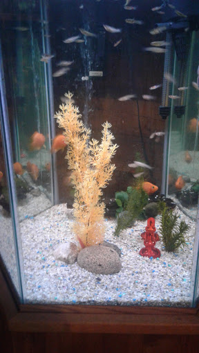 Pet Supply Store «Pet Valu», reviews and photos, 1080 N Bridge St #44, Chillicothe, OH 45601, USA