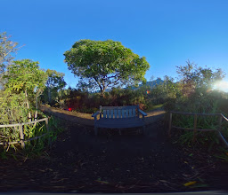 Botanical Garden Indigenous Nursery photo