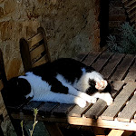 Photo n°14 de l'avis de Mario.i fait le 01/01/2020 à 17:12 sur le  Osteria Passaparola Nell'Antico Frantoio à Montemerano