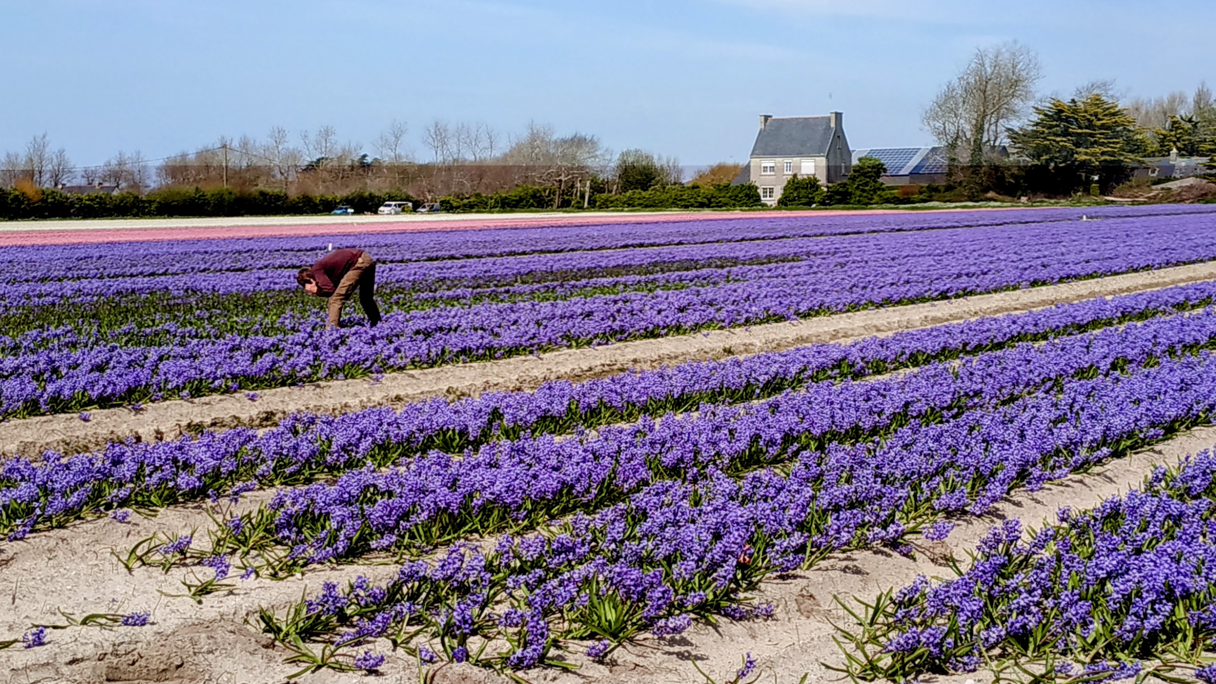 Photo n° 25 de l'avis de The.a fait le 05/04/2023 à 21:57