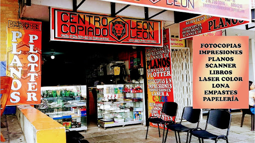 CENTROCOPIADO LEON LEON
