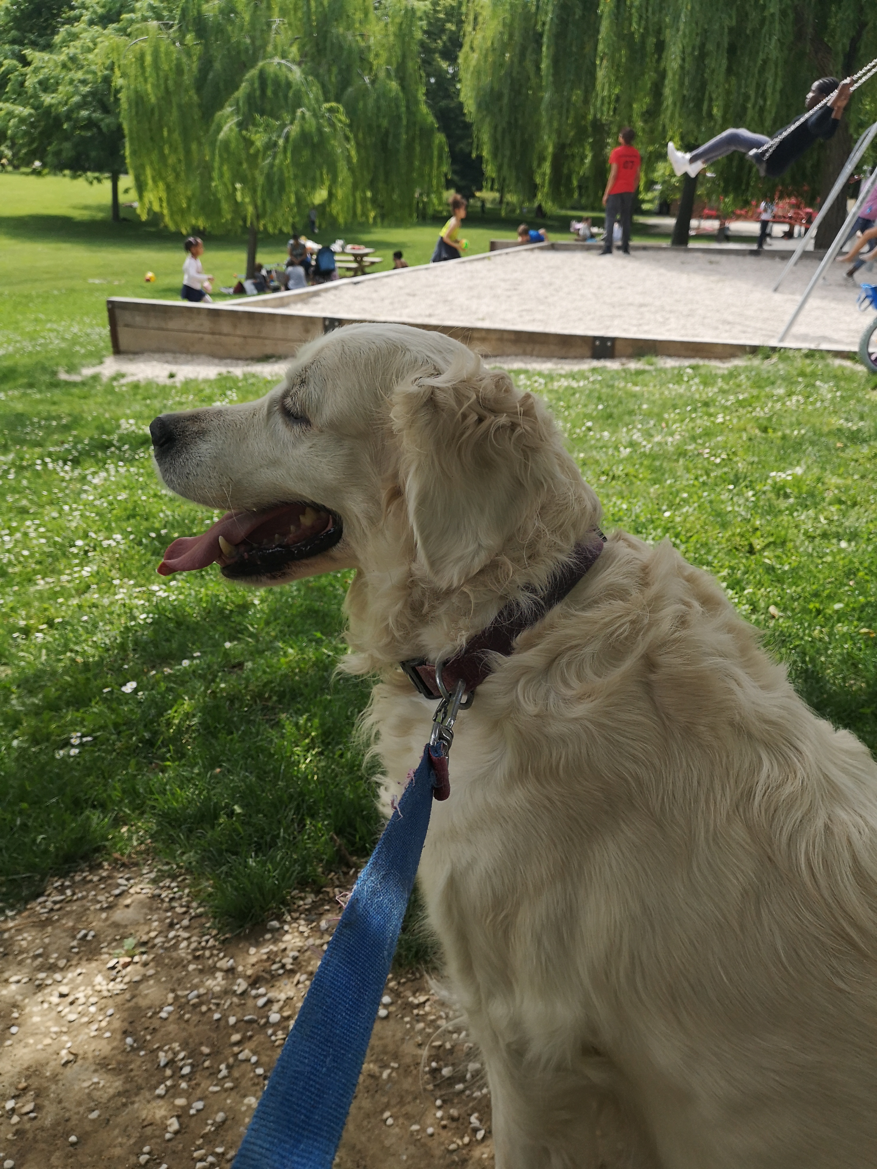 Photo n° 1 de l'avis de Catherine.a fait le 01/06/2019 à 13:00