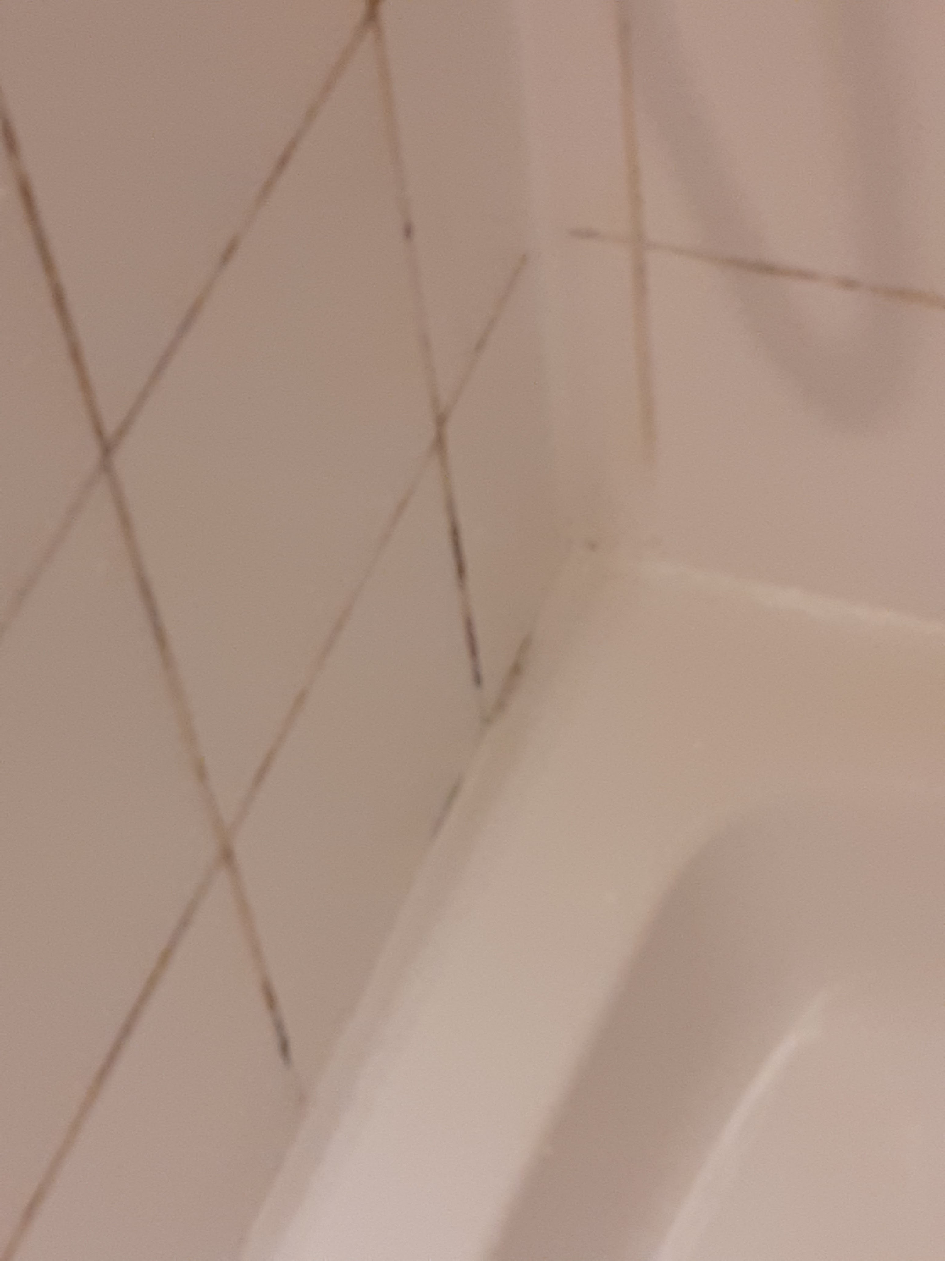Photo n° 5 de l'avis de D. fait le 19/08/2021 à 15:46