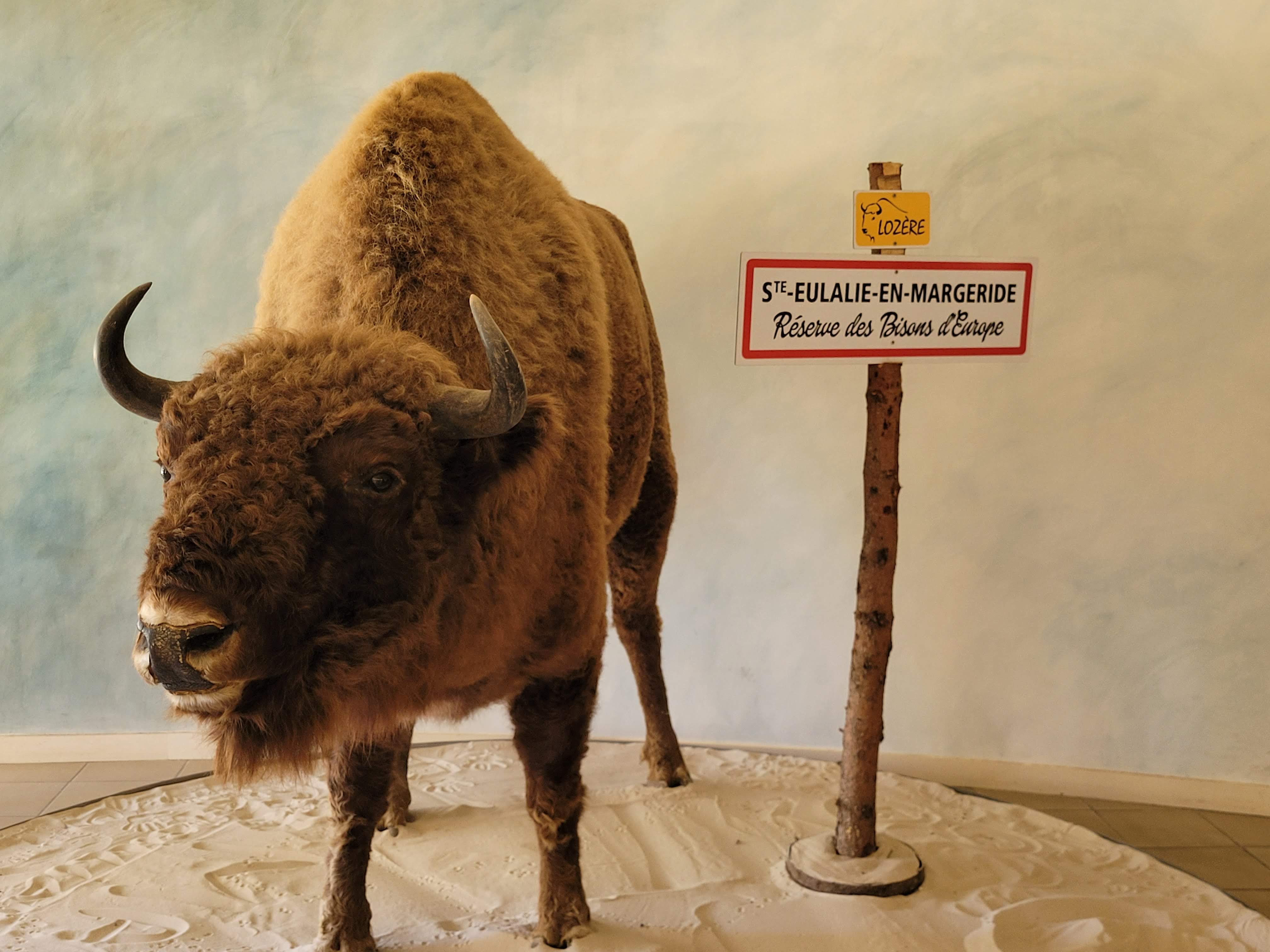 Photo n° 4 de l'avis de Cécile. fait le 12/09/2023 à 19:42