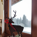 Photo n°5 de l'avis de Anna. fait le 04/12/2022 à 20:24 sur le  Ristorante Rivetta à Luserna