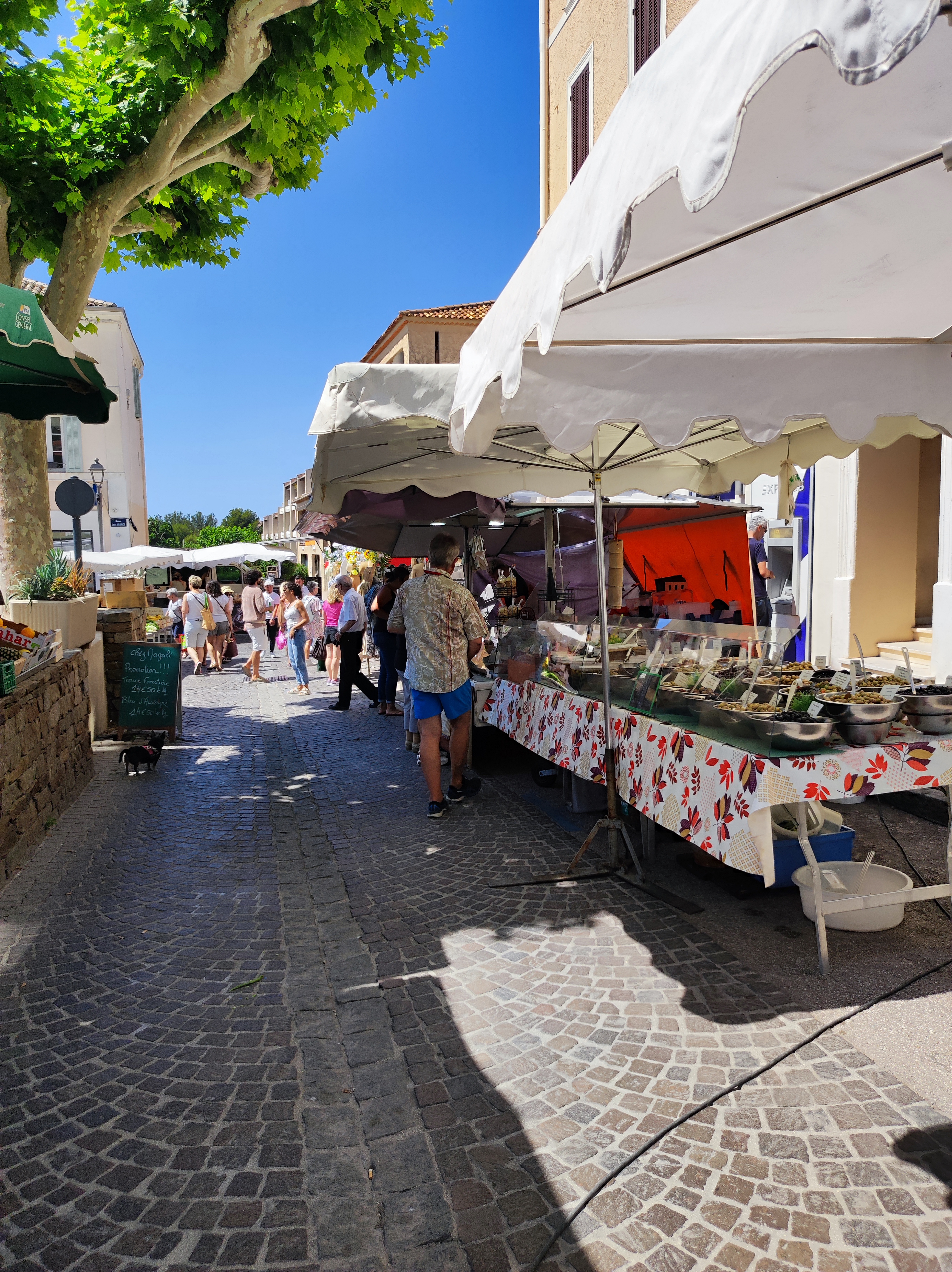 Photo n° 1 de l'avis de Vévé. fait le 08/06/2023 à 15:26