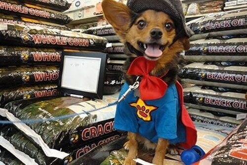 Pet Supply Store «Atlas Pet Supply», reviews and photos, 12761 Central Ave NE, Blaine, MN 55434, USA