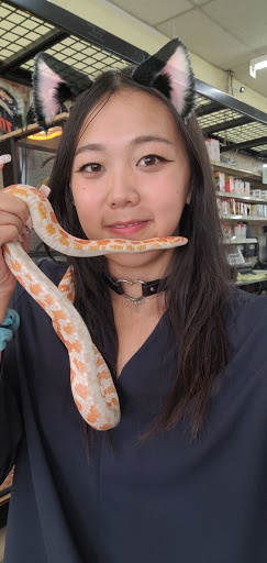 Pet Supply Store «Paw Shoppe Pet Center», reviews and photos, 6416 E Spring St, Long Beach, CA 90815, USA