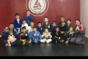 Academia Alpha Jiu-jitsu & Muay Thai image