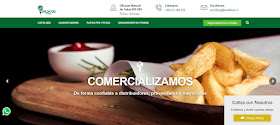 Paginas Web Avanza Online