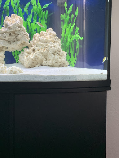 Pet Supply Store «Global Aquatics & Pet Supplies», reviews and photos, 1420 S Carlos Ave, Ontario, CA 91761, USA