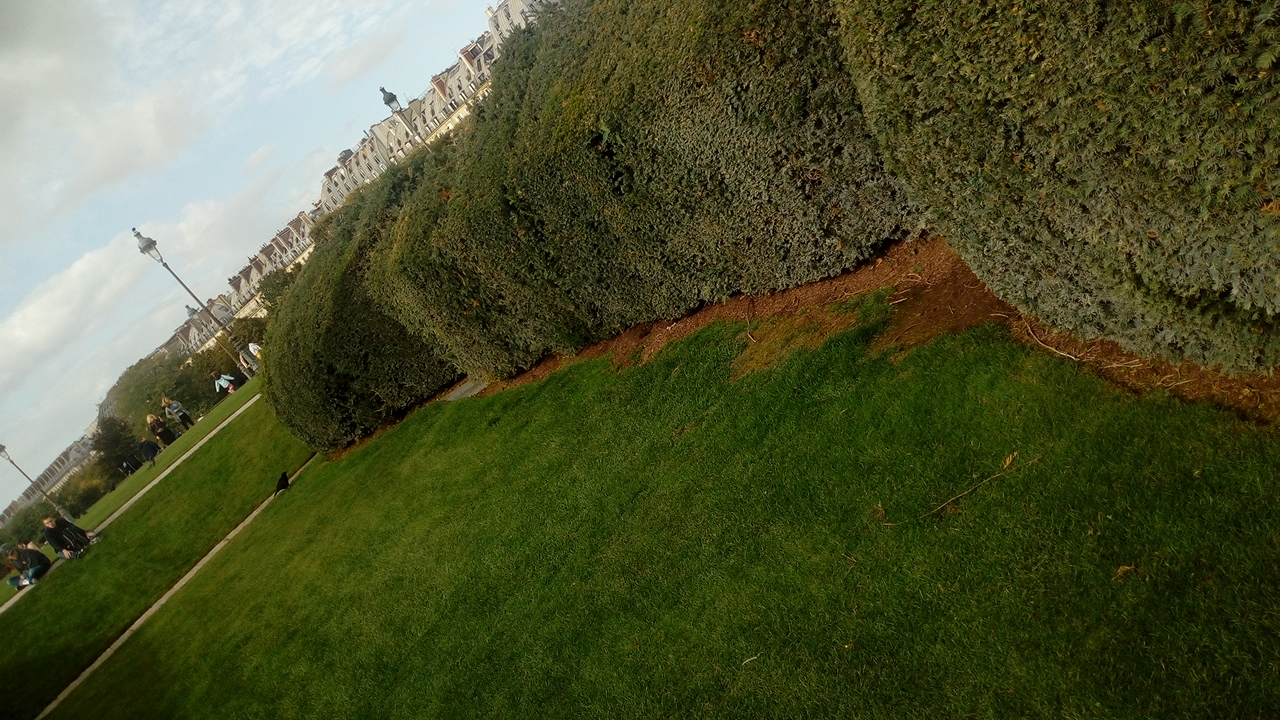 Photo n° 6 de l'avis de Delbart.e fait le 06/10/2019 à 13:25