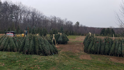 Dawsons liberty acres christmas tree farm