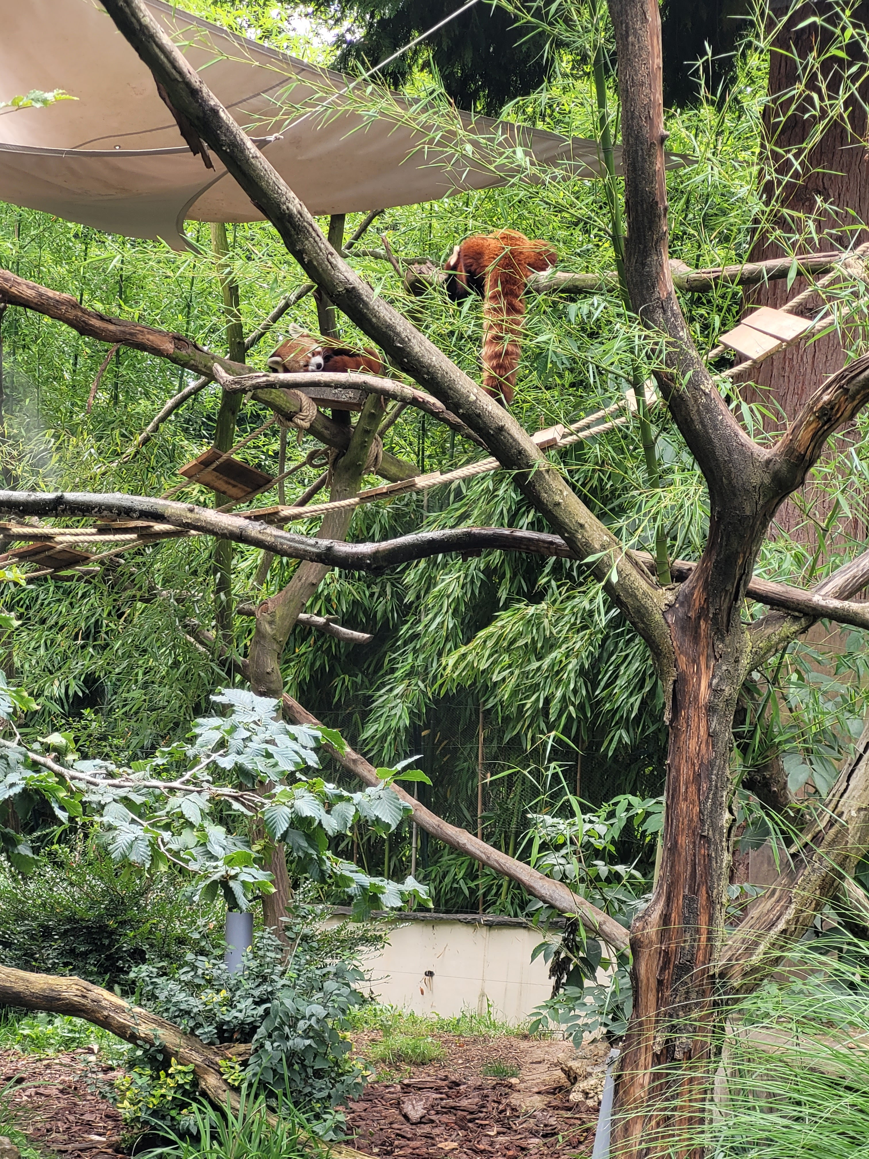 Photo n° 2 de l'avis de Jeremie.i fait le 20/08/2023 à 12:47