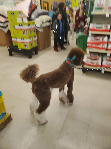 Pet Supply Store «PetSmart», reviews and photos, 7 U.S. 9, Manalapan Township, NJ 07726, USA