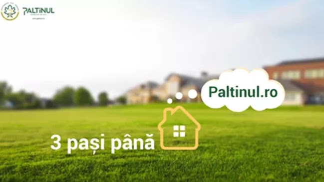 Agenția Imobiliară Paltinul