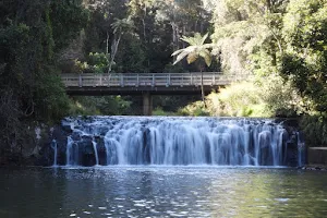 Malanda Falls Conservation Park image