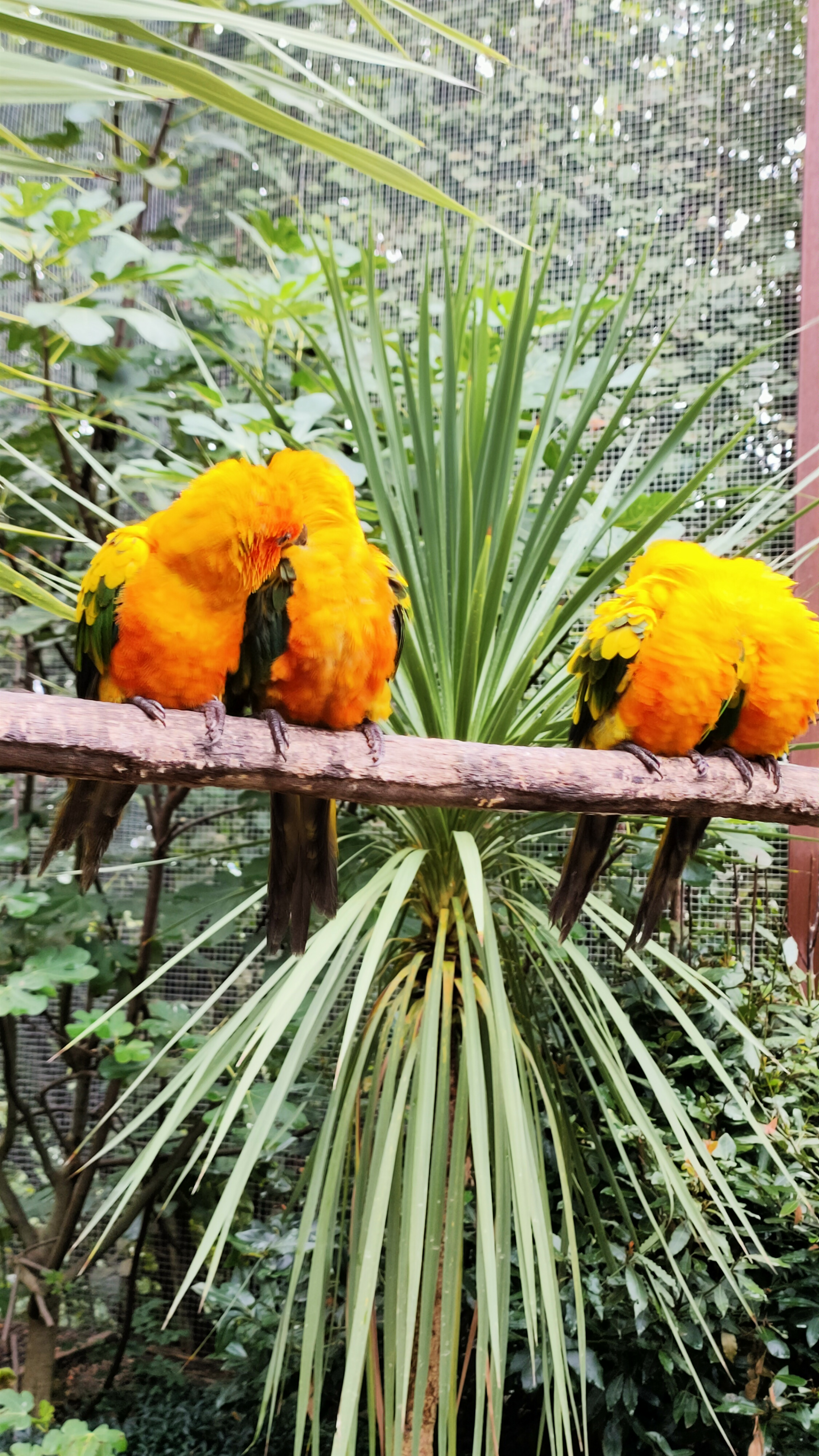 Photo n° 1 de l'avis de Thebault.e fait le 12/09/2023 à 12:55