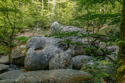 La Rivière de Rochers à Lacrouzette