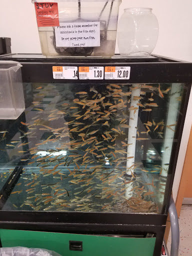 Pet Supply Store «Pet Supplies Plus», reviews and photos, 3120 NJ-35, Hazlet, NJ 07730, USA