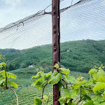 Photo n°6 de l'avis de Maurizio.e fait le 01/05/2023 à 07:09 sur le  Osteria Senz'Oste à Valdobbiadene