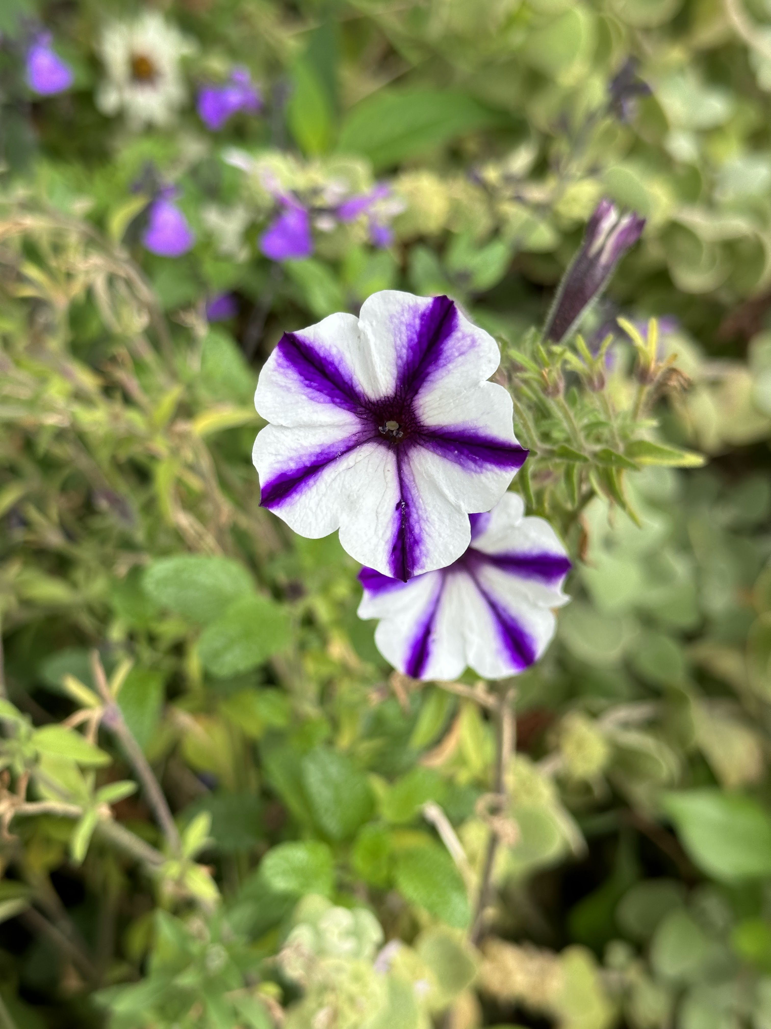 Photo n° 9 de l'avis de P.d fait le 28/08/2023 à 06:51