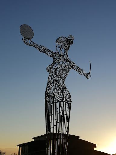 Aqua Solaire (wire statue), Reedy Creek QLD 4227