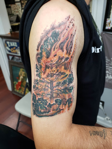 Tattoo Shop «Webbworks Tattoo Studio», reviews and photos, 2067 Pine Ridge Rd, Naples, FL 34109, USA