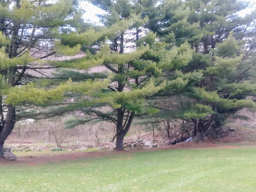 Gift Shop «Stonehedge Gardens», reviews and photos, 51 Dairy Rd, Tamaqua, PA 18252, USA