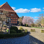 Photo n°12 de l'avis de Kahle.a fait le 22/04/2023 à 07:28 sur le  BAUERNGARTEN Hofcafé à Hoyerhagen