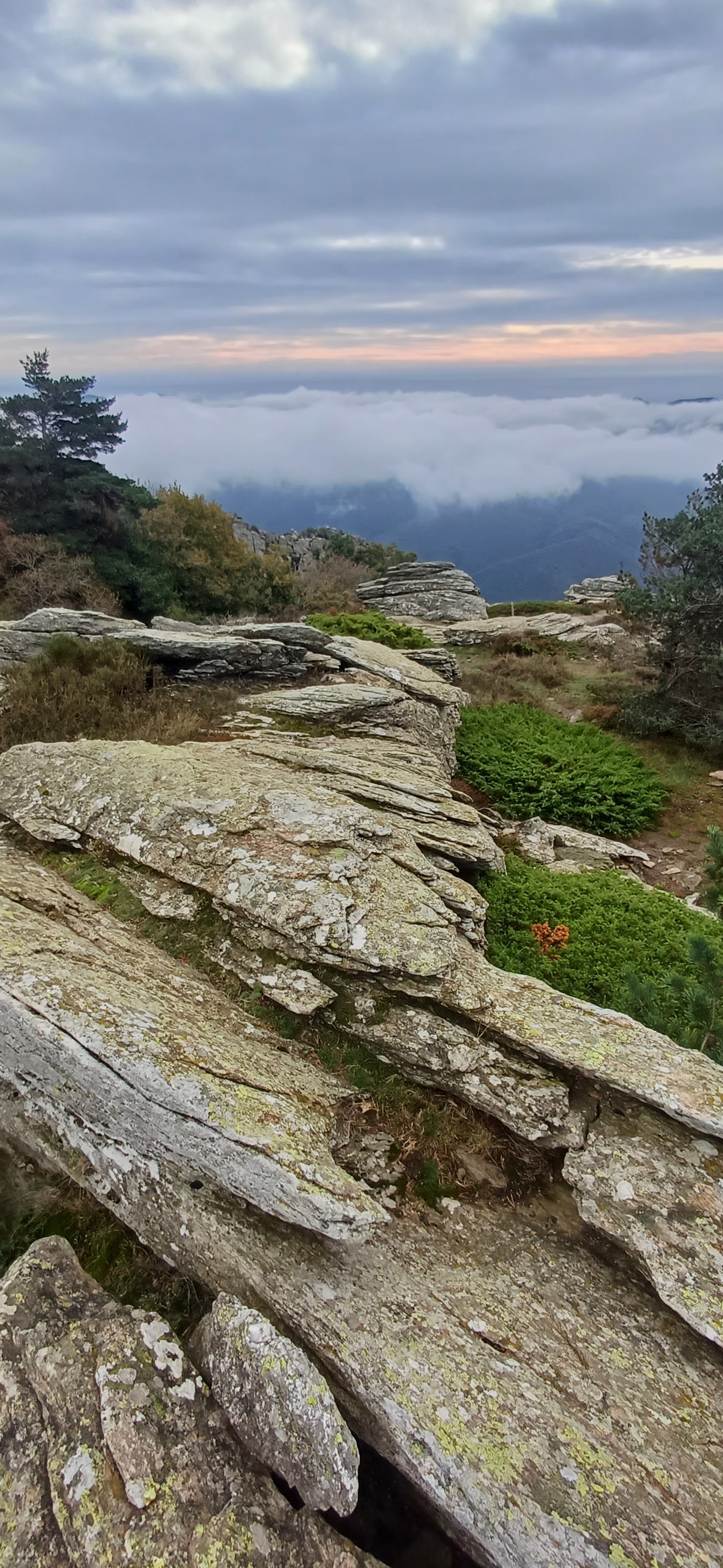 Photo n° 8 de l'avis de Philippe.a fait le 29/10/2023 à 16:26