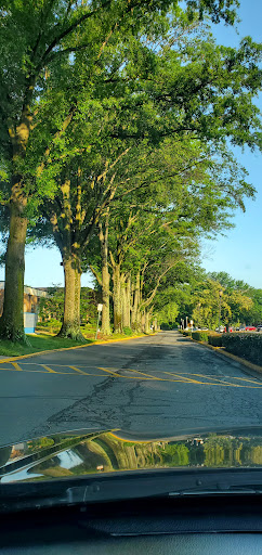 Health Club «Onelife Fitness - Reston», reviews and photos, 11445 Isaac Newton Square S, Reston, VA 20190, USA