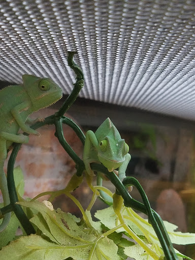 Pet Supply Store «Petco Animal Supplies», reviews and photos, 682 Broadway #1n, Saugus, MA 01906, USA