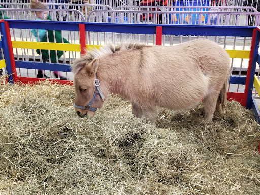 Conference Center «Fair & Expo Center», reviews and photos, 2695 E Henrietta Rd, Henrietta, NY 14467, USA