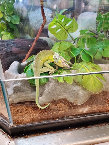 Pet Supply Store «Petco Animal Supplies», reviews and photos, 264 Dillon Ridge Way, Dillon, CO 80435, USA