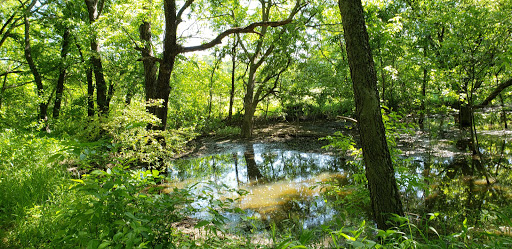 Nature Preserve «Rowlett Creek Preserve», reviews and photos, 2525 Castle Dr, Garland, TX 75040, USA