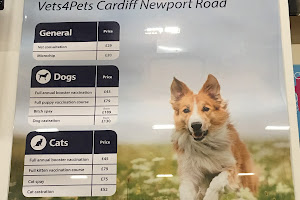 Vets4Pets - Cardiff Newport Road