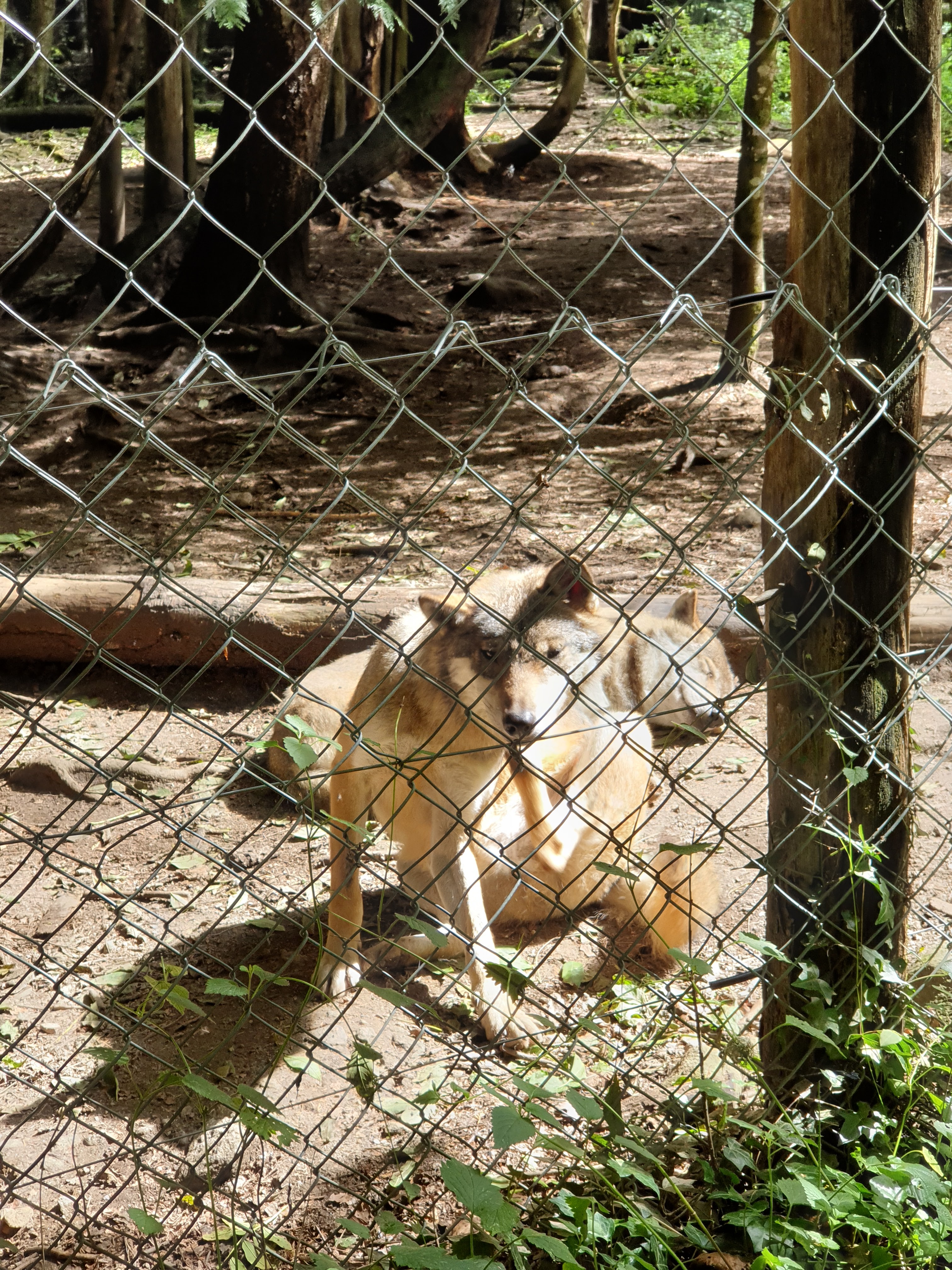 Photo n° 7 de l'avis de Sarah.h fait le 16/09/2020 à 12:45