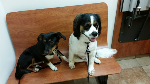 Pet Supply Store «PetSmart», reviews and photos, 533 S Tracy St, Wichita, KS 67209, USA